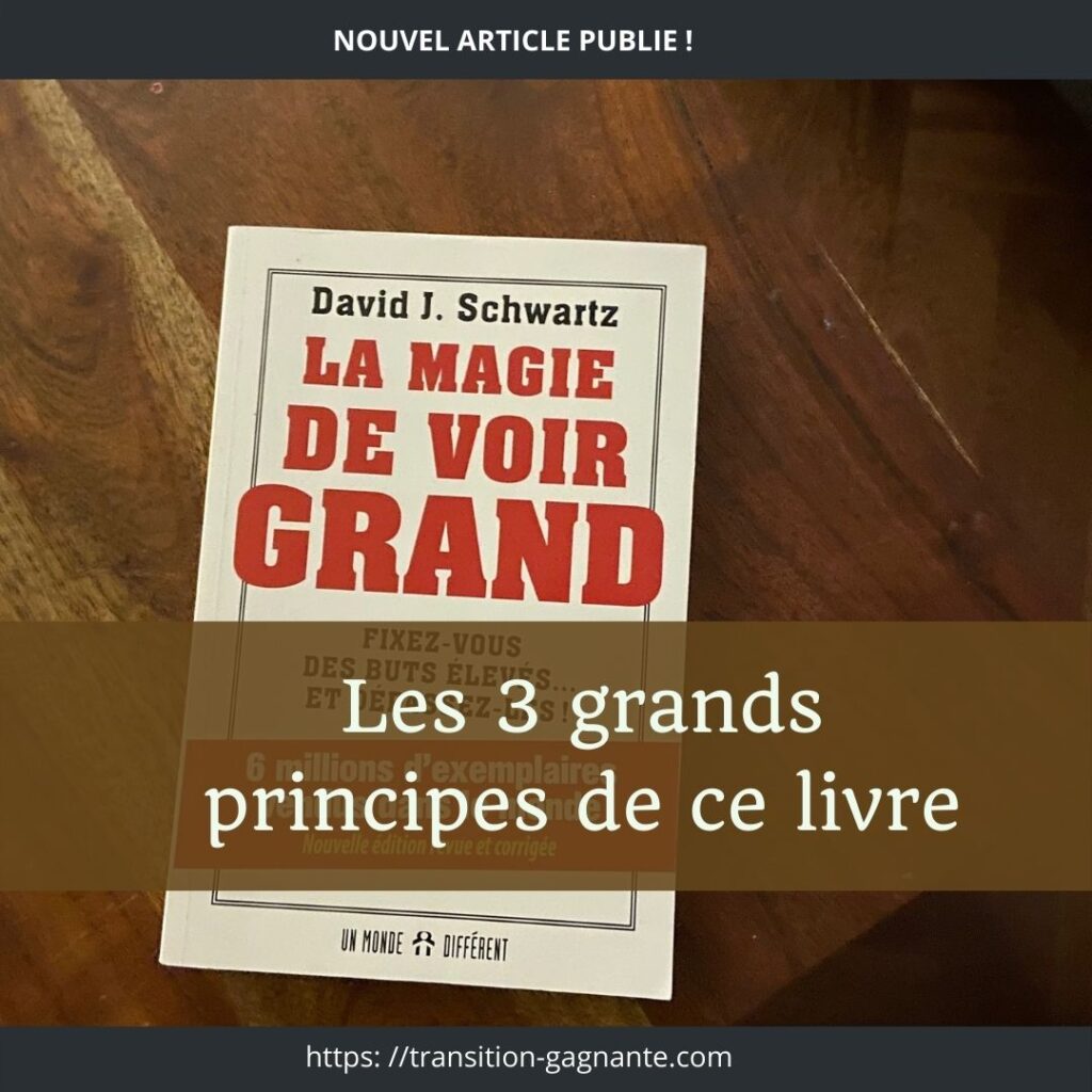 livre la magie de voir grand sur Transition gagnante